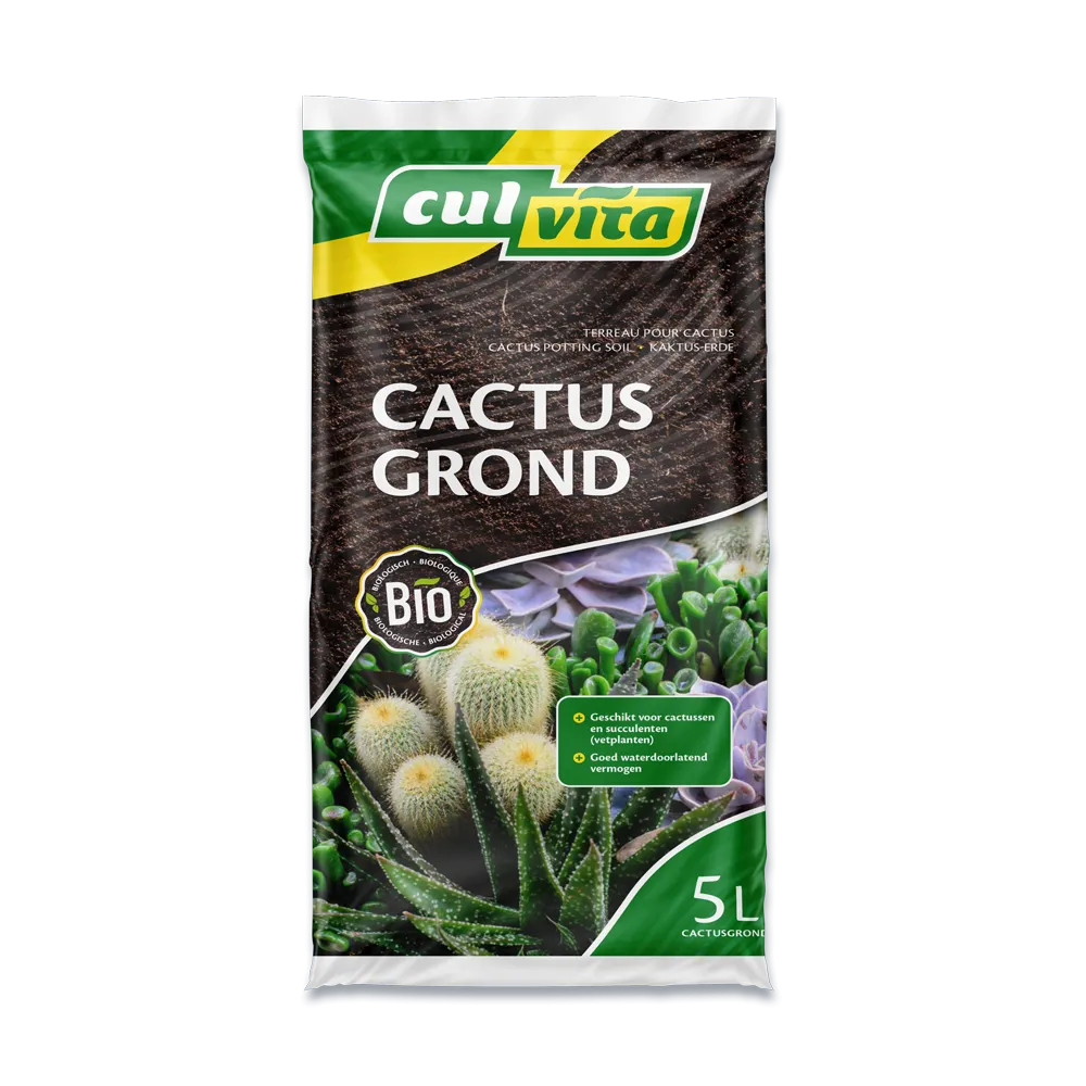 Culvita Cactusgrond