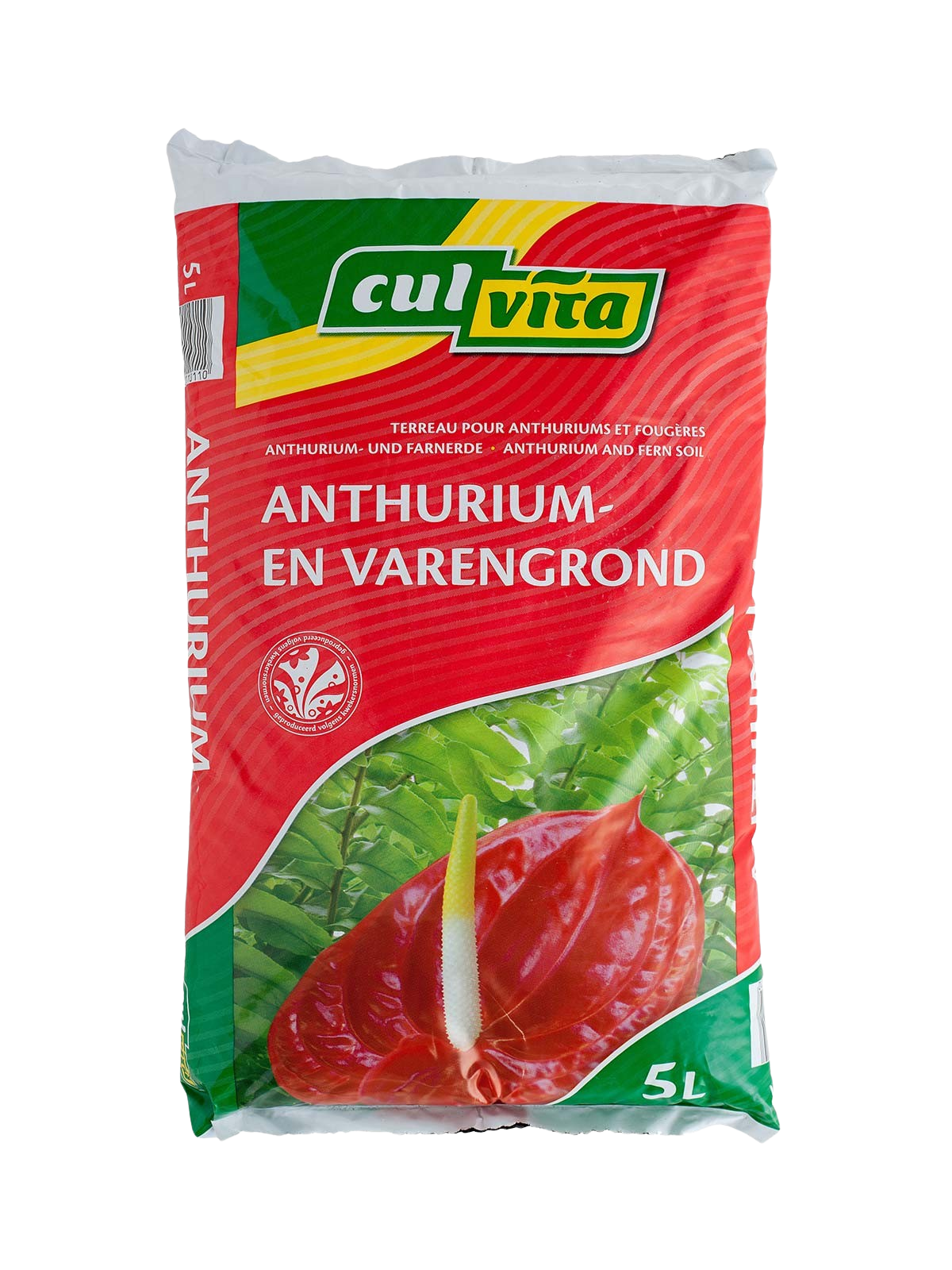 Culvita Anthurium en Varengrond