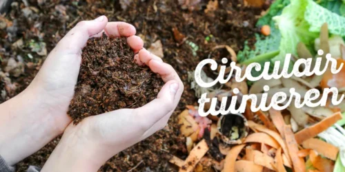 Zo geef je je groenteafval een tweede leven