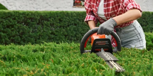 Tuinieren in de herfst: bereid je tuin voor op het nieuwe seizoen